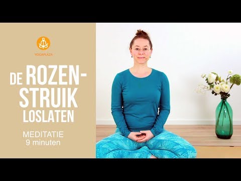 The Rose Bush [letting go]