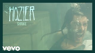 Musik-Video-Miniaturansicht zu Shrike Songtext von Hozier