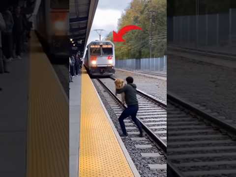 Respect This Hero 🙌🇺🇸 | Emotional Animal Rescue on Train Tracks