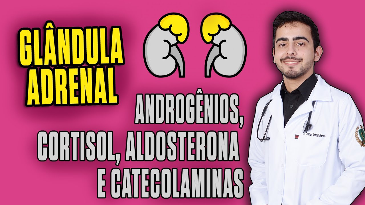 Glândula Suprarrenal, Cortisol, Aldosterona e Androgênios │ Guyton (Capítulo 77) e PORT - Parte 1