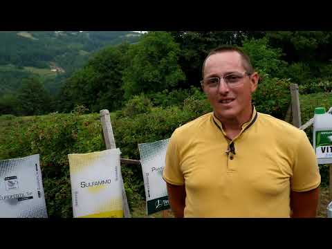 Timac Agro Balkans tehnologija kod Mirka Jovanovića Varda