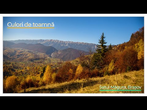 Culori de toamnă (Sat Măgura, comuna Moieciu, județul Brașov)