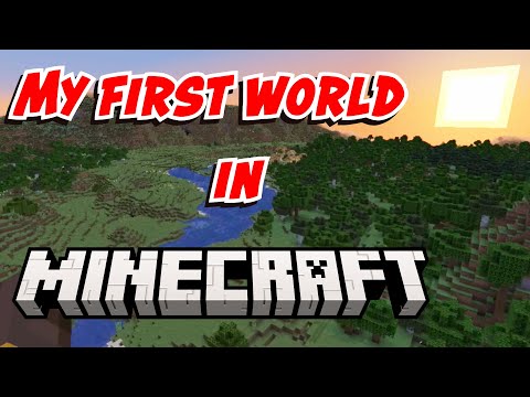 OMG! First time playing Minecraft with Friends