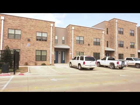 Sexual assault suspect has been released on bail