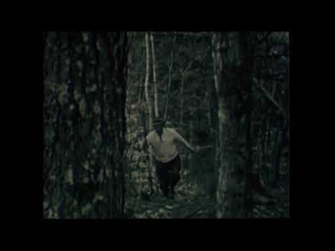 The Woods: A Close Relationship with Down East Maine (circa 1940s)