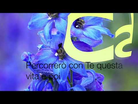 Cantonuovo Music - Correrò Da Te (lyrics video)