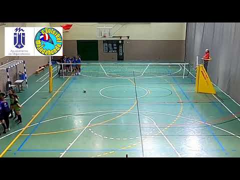 CV. MAJADAHONDA A - CV BULLDOGS A. 1ª DIV. INFANTIL  FEMENINA (10/12/2022)