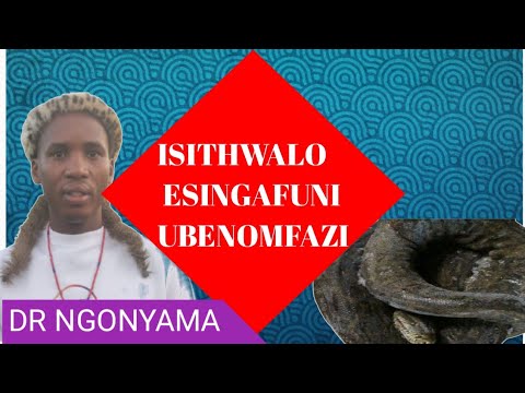 ISITHWALO ESINGAFUNI UBE NOMFAZI | DR NGONYAMA