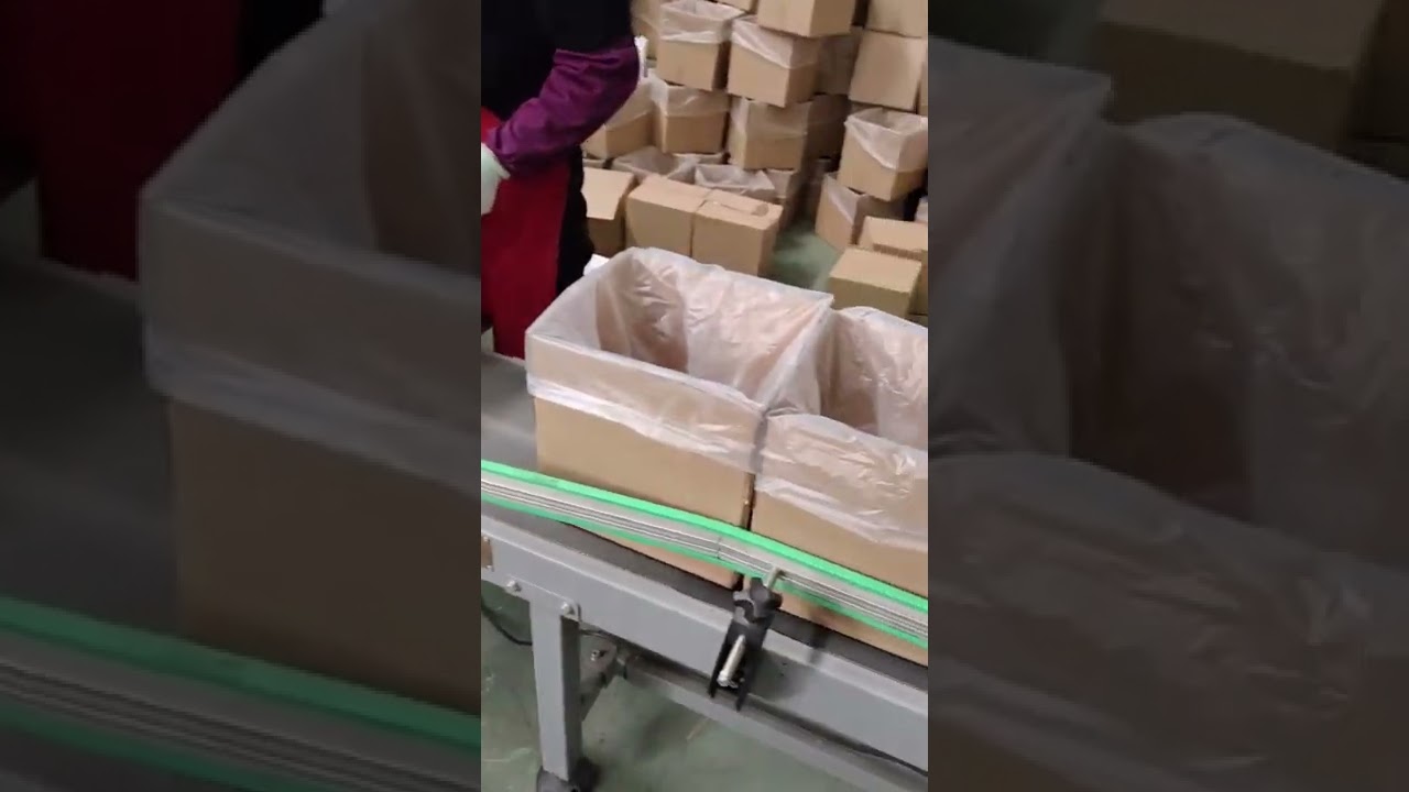30kg carton screw packing system--Focus Machinery