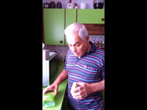 Georgio's Innovations - Tasty Cheese