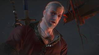 #214 ウィッチャー3 ゲーム実況 鏡の達人からの謎解き 無情なる心 Hearts of Stone ハーツオブストーン
