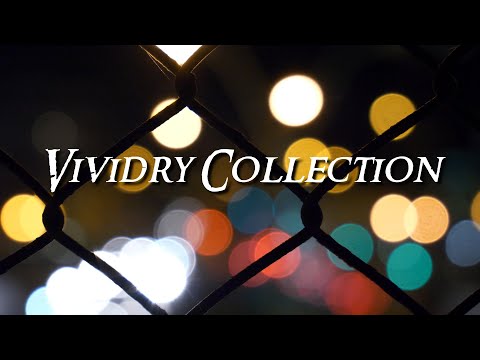 [PlayList🎼] Vividry Collection
