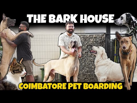 The Bark House | Pet Boarding Kennel | Dogs and Cats