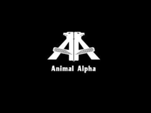 download lagu mp3 mp4 Animal Alpha Bundy Letra, download lagu Animal Alpha Bundy Letra gratis, unduh video klip Animal Alpha Bundy Letra