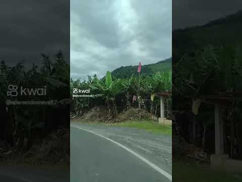 MIRACATU, VALE do ribeiro, são Paulo, #dicasdemodaeestilo #modaalfaiataria .