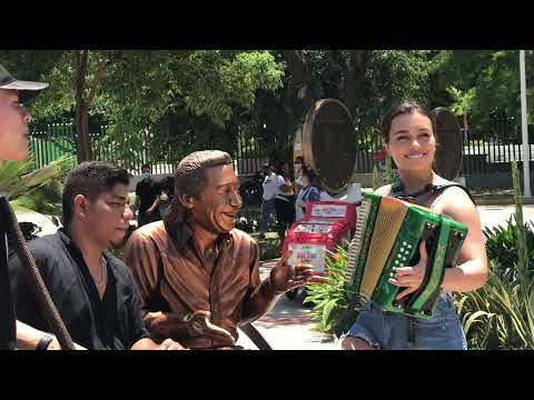 LA MEJOR INTRODUCCIÓN DEL VALLENATO - MANGUITO BICHE