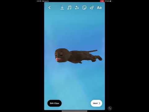 Evolution to Chin Up High by Ame Bibabi