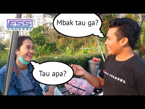 ditanya-ini-jawabannya-begini