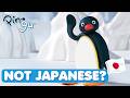 PINGU Explained The Full Character Guide