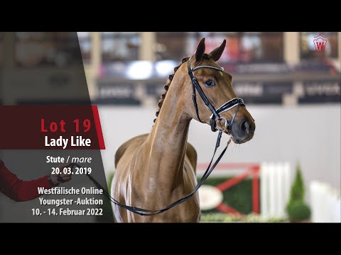 Online Youngster-Auktion Lot 19 Lady Like Stute v. Livaldon - Fürst Heinrich
