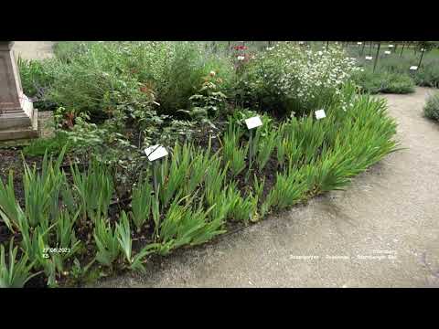 Rosengarten - Roseninsel - Starnberger See - Feldafing