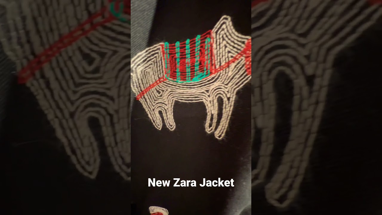 Zara embroidered jacket