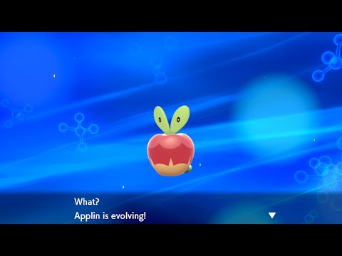 How to Evolve Applin into Flapple or Appletun - Pokémon Sword & Shield