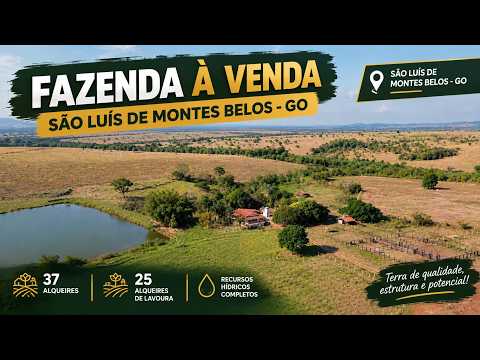 FAZENDA À VENDA EM SÃO LUÍS DE MONTES BELOS – GO | 37 ALQUEIRES COM 25 ALQUEIRES DE LAVOURA