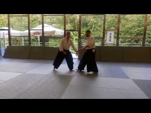 Aiki nage