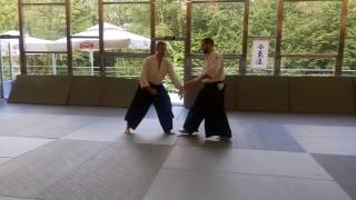 Aiki nage