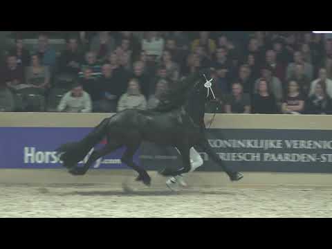 Compilatie rubriek 8