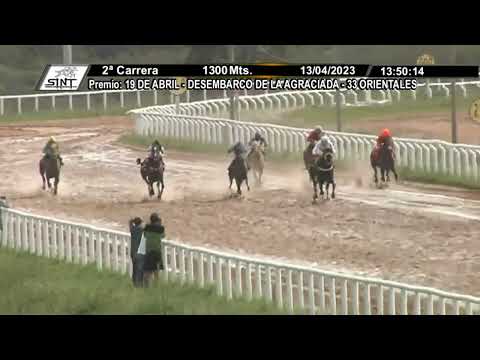 SINT MELO 230413 c02 - 1° PIED DE POULE