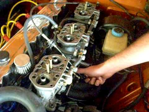 opala laranjao aspirado (Itajubá_MG)