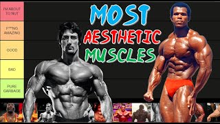 The ULTIMATE Aesthetic Muscles Tier List (Beginners' Guide) 😤