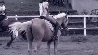 [Zzz- Droeloe] Training session