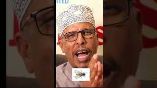 Download lagu What the Prophet told me and if the disbelievers knew mp3