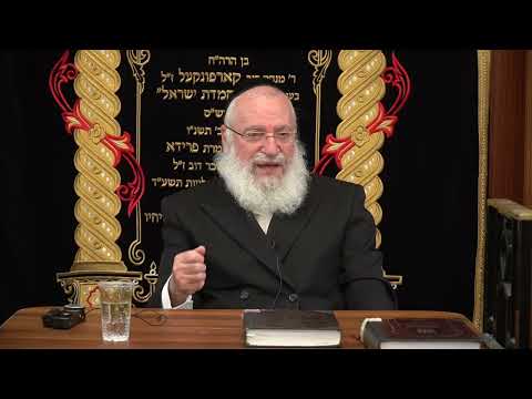 Short Thought on the Aveilos of Sefiras HaOmer | By Rav Asher Weiss Shlit"a (5785)