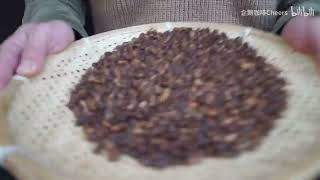 我们在小镇做咖啡｜圣诞前的一周记录