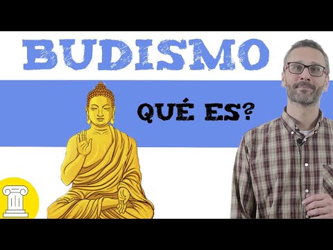 10 CARACTERÍSTICAS del BUDSIMO más destacadas - con VÍDEOS!