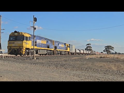 1PM5 PN up "Linfox Express" (NR89, NR111), Perth to Melbourne, 1550, 21/5/25, Dooen VIC