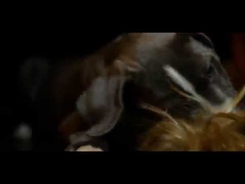 Jay Wy Ft. Lil Mall - So Official (Music Video)