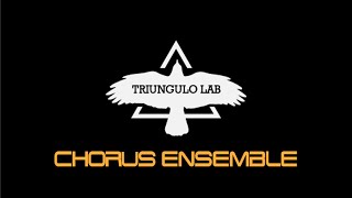 Video thumbnail for Triungulo Lab Chorus Ensemble - Demo || Boss CE-1 Reissue by Vince DiGioia