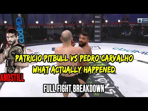 Patricio Pitbull vs Pedro Carvalho What Actually Happened | Full Fight Breakdown