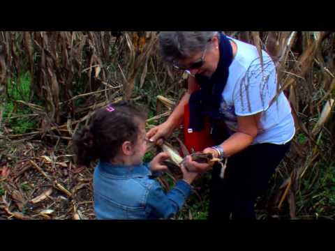 An va' a cata' al Milgu'  ( Calcio Bg )