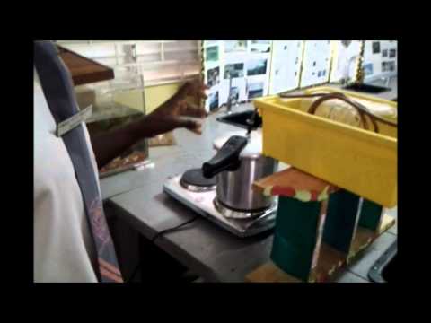 Making essential oil from basil