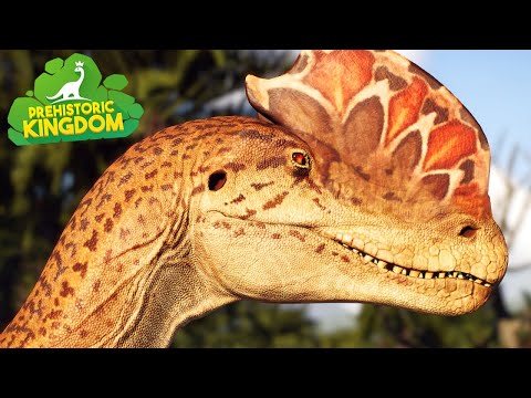 Prehistoric Life Documentaries - Vol.1 - Prehistoric Kingdom [4K]