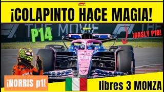 F1 ITALIA FRANCO COLAPINTO ARREGLA EL ALPINE Y HASTA EL INGENIERO STUART ALUCINÓ CON P14. NORRIS P1