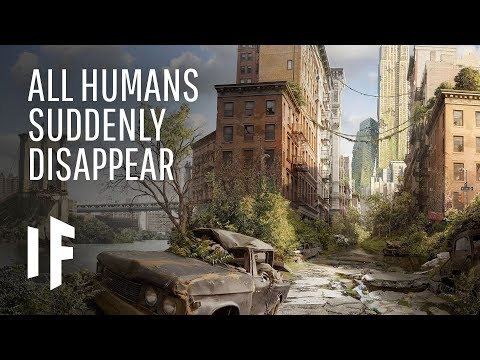 What If All Humans Suddenly Disappeared From The Earth?