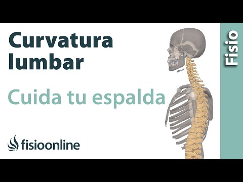 Cerotto tibetano sul mal di schiena Carbossiterapia per osteocondrosi