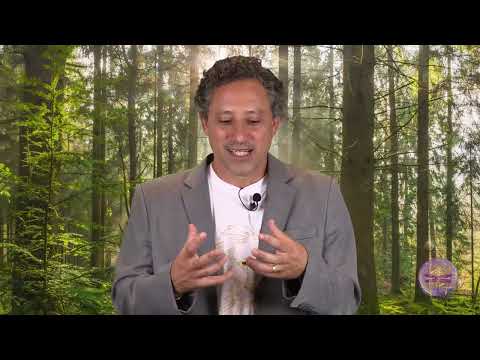 Initial Enneagram - Who is Type (Ray) 5? - Nicolai Cursino